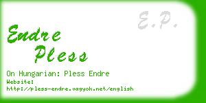 endre pless business card